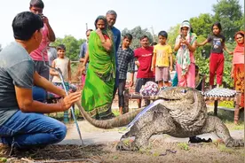 2米长变异巨蜥，突袭印度乡村，中央竟只派了他来处理视频封面