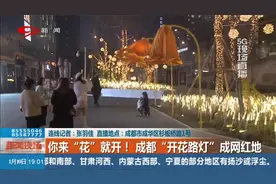 你来“花”就开！成都“开花路灯”成网红地视频封面