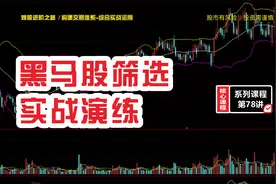 黑马股如何快速筛选？指标如何设置？三步轻松抓取牛股，简单易学视频封面