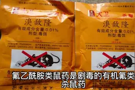 广东面包店误将鼠药做入面包致10岁女孩死亡，鼠药毒性为何这么强视频封面