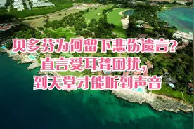 贝多芬为何留下悲伤遗言？直言受耳聋困扰，到天堂才能听到声音视频封面
