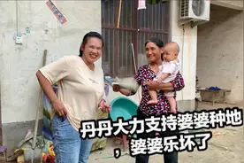 丹丹把卖粮食的钱交给婆婆，还鼓励婆婆多种点地，就不愁没钱花了视频封面