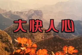 尊严的法律，人民的心声视频封面