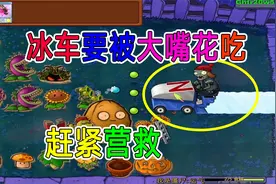 植物大战僵尸：大爷再现神奇走位，红眼张飞奠定胜局视频封面
