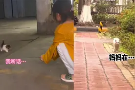 猫妈把小猫托付给女生，尽管不舍但依旧转身离开，反应惹人泪目视频封面