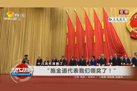 一个都不能少 十八洞村沸腾了：“施金通代表我们领奖了！”视频封面