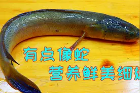 做乌鱼汤牢记这个方法，汤汁浓白肉质细嫩，孕妇可以吃肉还能喝汤视频封面