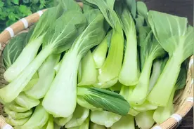 小油菜包饺子，出锅没想到这么好吃，教你调馅方法，一口一个真香