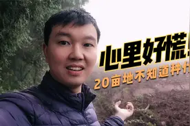 四川资阳安岳，花10万包20亩地挖机2天挖完，心慌了不知道种什么视频封面