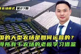 英国大型农场，是如何玩转一二三产融合的运营模式的？ 值得借鉴视频封面