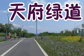 骑行成都，骑了15公里视频封面