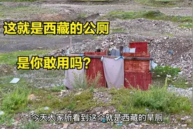 西藏上厕所怎么解决？随处可见的露天公厕，这样的地方你敢去吗？视频封面