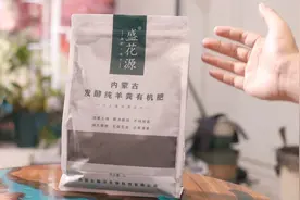 家庭阳台种菜用什么肥料？园艺师教你，用有机羊粪肥视频封面