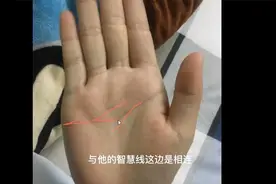 感情线和智慧线这样相连，又称为假断掌视频封面