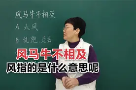 “风马牛不相及”中的“风”指的是什么意思呢？#老师#知识分享视频封面