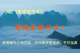 紫微星姓什么？视频封面