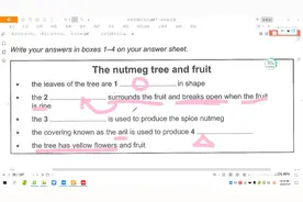 雅思听力和阅读讲解.视频封面