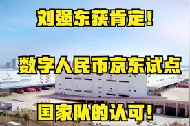 刘强东获的支持！数字人民币京东试点，国家队的认可！视频封面