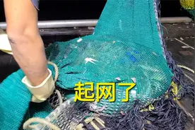 罗伟盛大哥包船出海捕捞，起网后螃蟹满船跑，太精彩了视频封面
