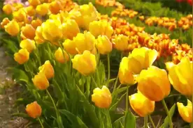 3小时安眠轻音乐：以前我知道喜欢什么但现在我知道我需要什么。视频封面