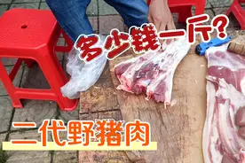 广东农村的二代野猪肉，45元一斤，比土猪肉还贵10元，你会买吗？