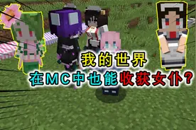我的世界：MC中也能收获女仆？有不同的种类和造型，还有女仆商人