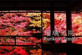 每年只对外开放两次的日本庭院：京都琉璃光院，只因美到窒息的景