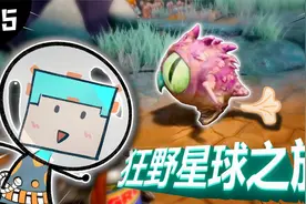 狂野星球之旅！原来这个小鸟喜欢吃罐头！