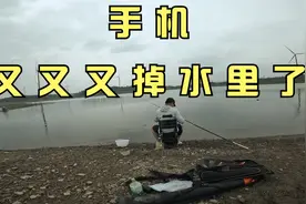 守了半天终于等到鲤，可惜我的手机又又又掉水里了视频封面