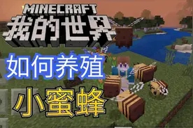 我的世界蜜蜂来袭：如何养小蜜蜂简单教程