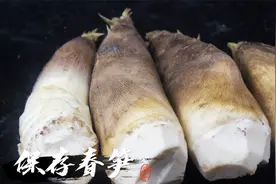 吃不完的春笋别放冰箱了！90岁奶奶教我保存，可以吃1年也不坏视频封面