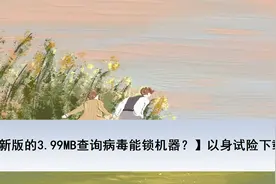 【最新版的3.99MB查询病毒能锁机器？】以身试险下载测评【转载】视频封面