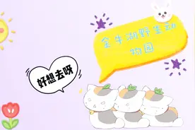 探索金牛湖野生动物王国，值得一去的好地方，一定要来玩一次。视频封面