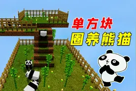 我的世界：单方块生存！成功圈养熊猫，太可爱了