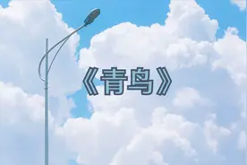 青鸟：你们知道吗？青鸟就意味着幸福。