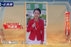 全国红色故事讲解员大赛｜陈延年颁授了中国第一条红领巾视频封面