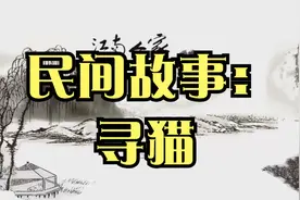 民间故事：寻猫视频封面