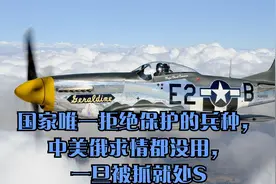 国家唯一拒绝保护的兵种，中美俄求情都没用，一旦被抓就处S视频封面