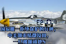 国家唯一拒绝保护的兵种，中美俄求情都没用，一旦被抓就处S视频封面
