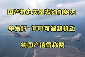 国产推力矢量发动机给力 单发歼-10B可做超机动 纯国产值得称赞视频封面