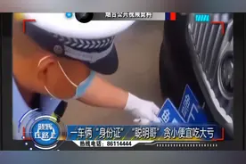 一辆车有俩“身份证”？驾驶员“聪明反被聪明误”吃了大亏视频封面