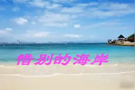 夏威夷钢棒吉他 《惜别的海岸》演奏影子视频封面