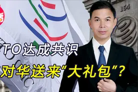 时隔两年多，WTO通过重要共识，美被迫让步，被自定规则打败视频封面