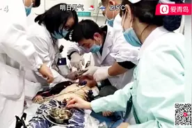 咋回事？10岁儿童喝酒差点丧了命！心跳骤停呼吸衰竭当场晕倒视频封面
