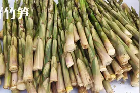 鲜嫩小春笋多，用这种方法剥笋壳快如退衣服，又快又轻松视频封面