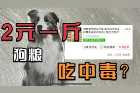 网购2元一斤狗粮，真的能把狗吃中毒吗？测试实物后大家还敢买吗视频封面