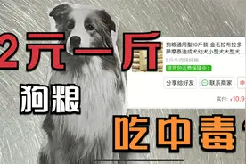 网购2元一斤狗粮，真的能把狗吃中毒吗？测试实物后大家还敢买吗视频封面