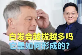 白发会越拔越多吗？它是如何形成的？视频封面
