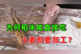 都是主食为何稻米可以直接吃，小麦却还得碾呢，直接煮不行吗？