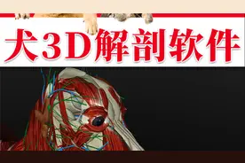 宠物常见疾病诊断教学 基础入门,动物医生,宠物医师 教学视频视频封面